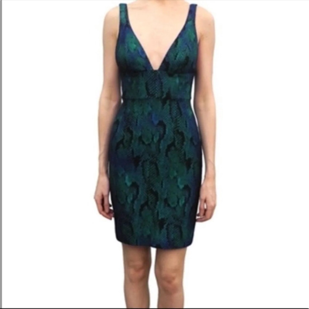 Jaygodfrey Python Sheath Dress
